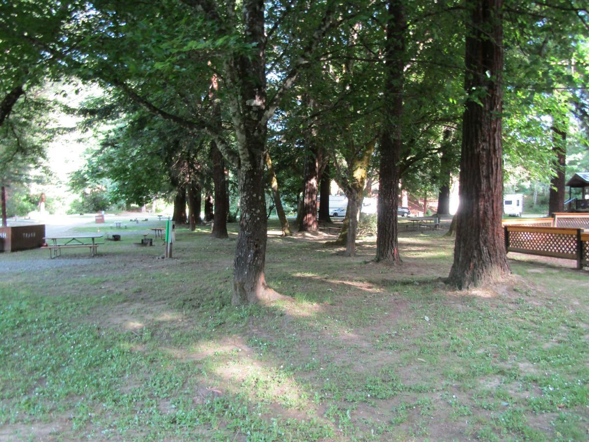 Dean Creek Resort Redway Extérieur photo